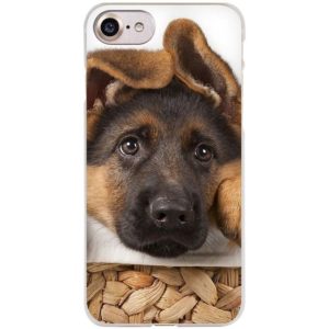 Phone Cases